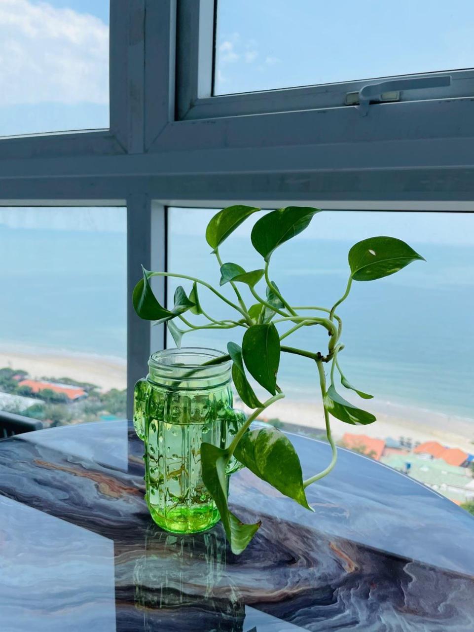 Can Ho Oasky Canh Bien Bai Sau Vung Tau Dış mekan fotoğraf